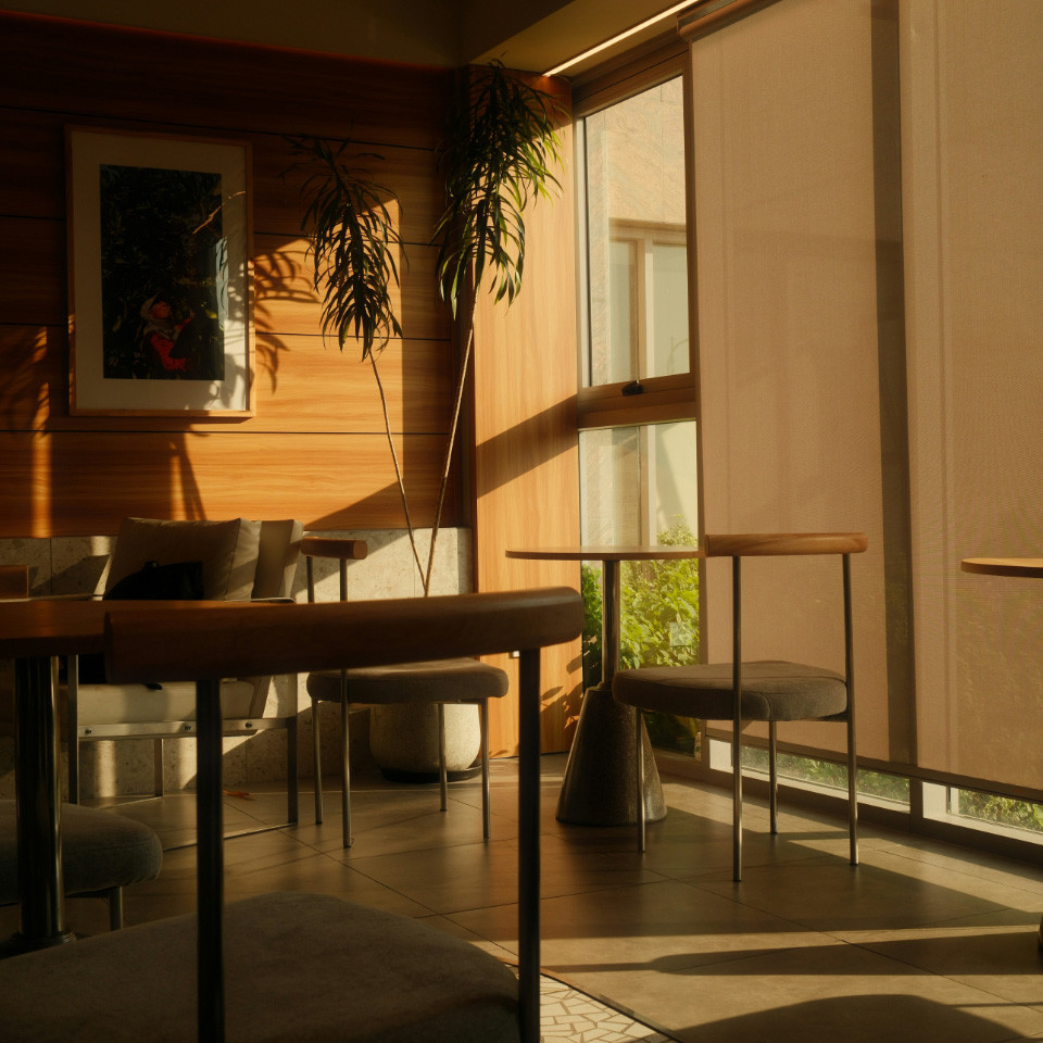 Sunlit dining room with timber walls